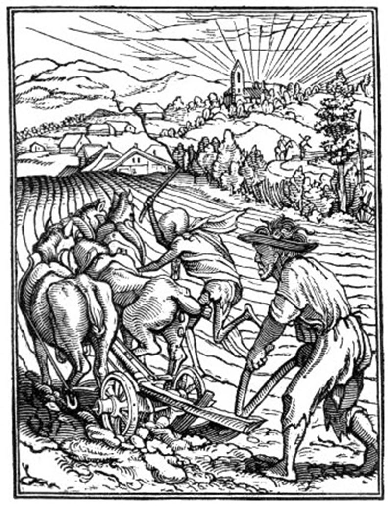 The Farmer, scene from the dance of death.
